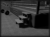 Boxing_Ring_Stairs_Article (15K)