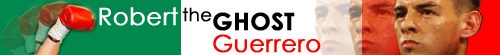 bannertheghost (13K)